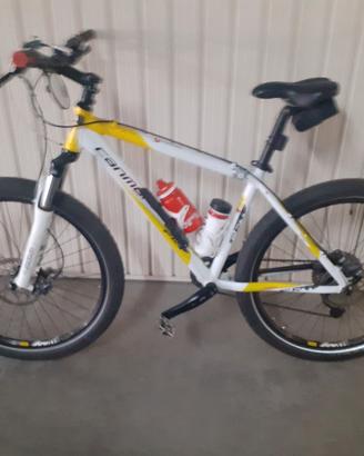 Mtb Frw .