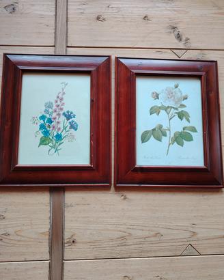 Coppia stampe botaniche