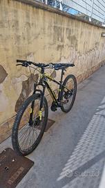 MTB bottega