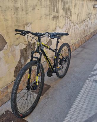 MTB bottega