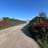 Battipaglia- Capannone Agricolo