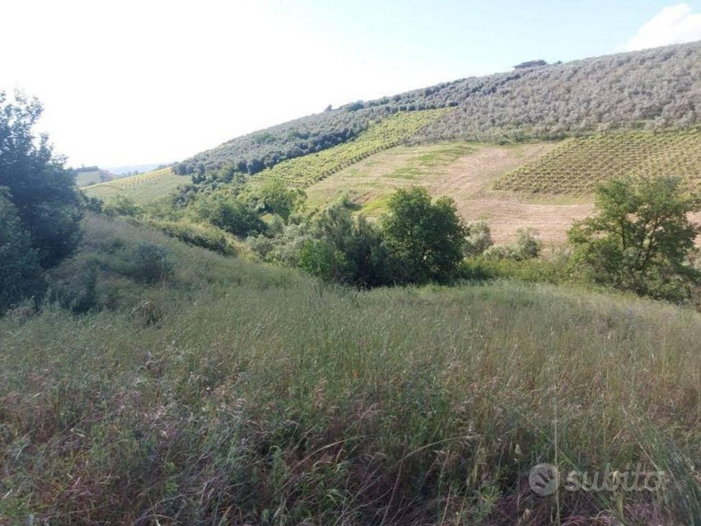 Immobile in asta di 2980 m² a Moscufo - Vista 3