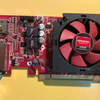 Scheda grafica Asus – Low profile HDMI - DVI 24+1