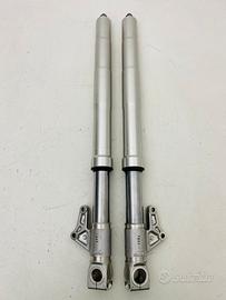 FORCELLE DUCATI ST3 ANTERIORI SHOWA CD 34022841A