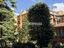 Immagine 14