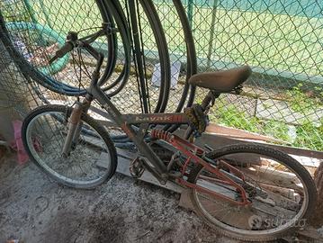 2 Mountain bike adulto 