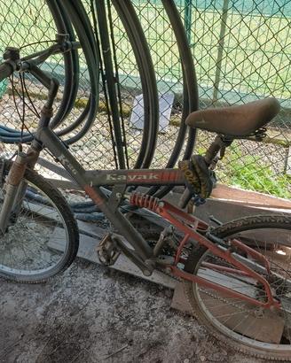2 Mountain bike adulto 
