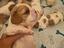 Immagine 4