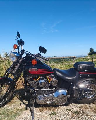 Harley - Davidson FXSTSB Bad Boy