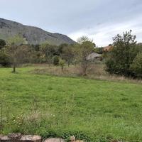 Ampio terreno edificabile con fabbricato TERC/18