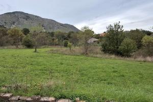 Ampio terreno edificabile con fabbricato TERC/18