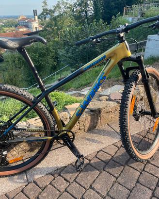 bici mtb