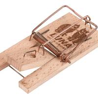 Trappola Per Topi A Molla Piccola