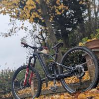 GT FORCE 29