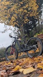 GT FORCE 29
