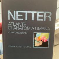 Atlante di anatomia umana Netter