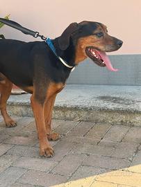 Teo sta aspettando il suo momento