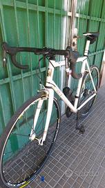 Pegoretti DUENDE RACING  2026
