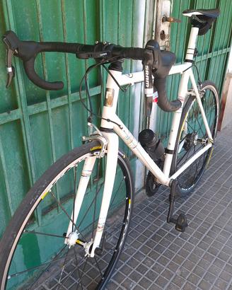 Pegoretti DUENDE RACING  2026