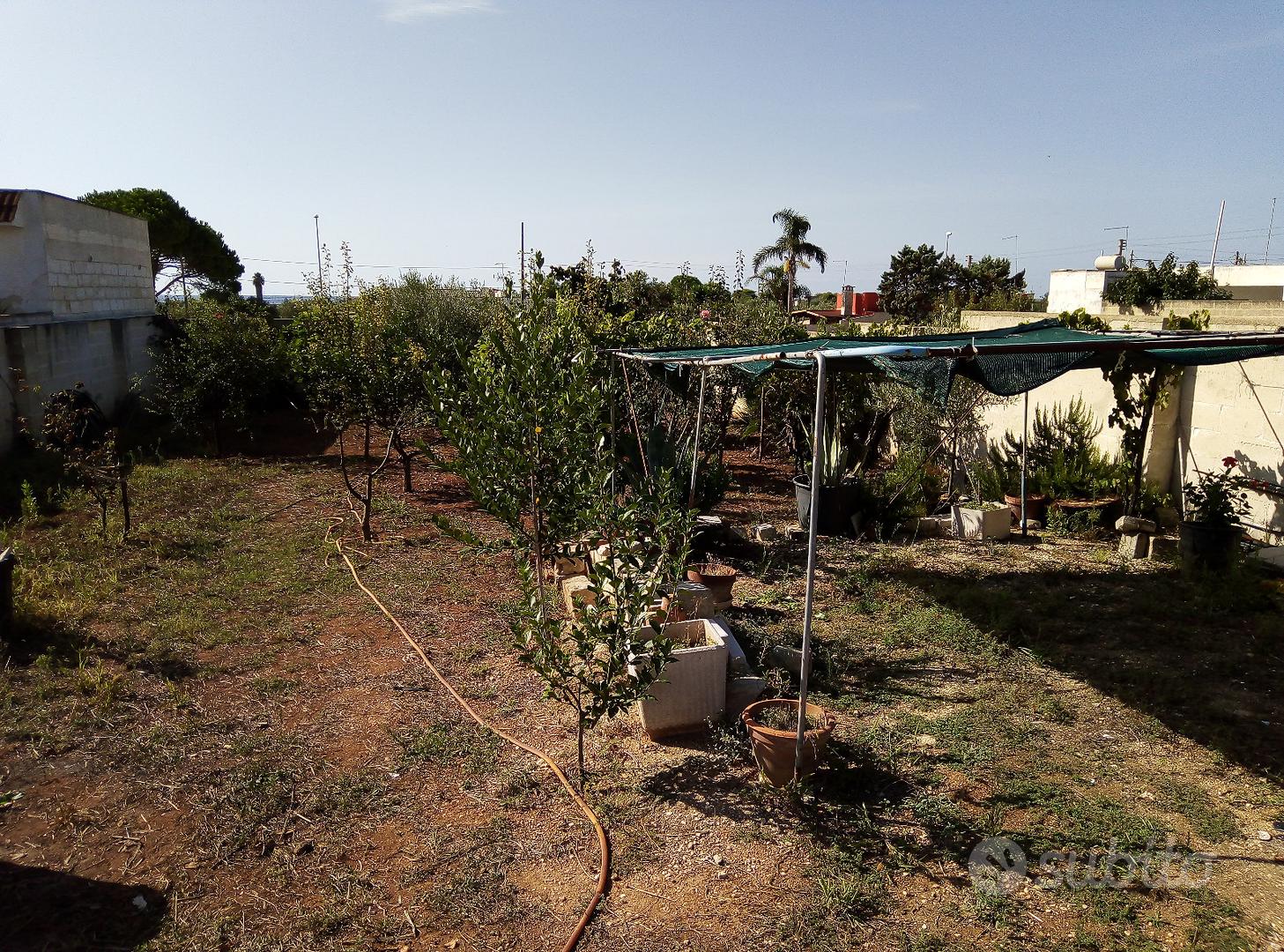 Terreno posizionato tra le abitazioni - Vista 6