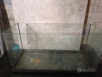 acquario 120L.