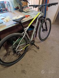 MTB 29 adriatica  TG M
