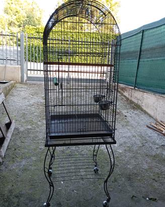 gabbia voliera