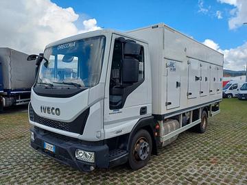 IVECO EUROCARGO ML80E22 CELLA FRIGO