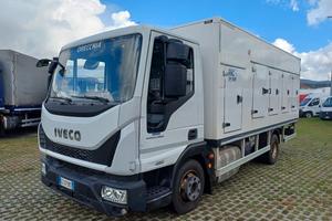 IVECO EUROCARGO ML80E22 CELLA FRIGO