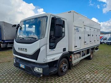 IVECO EUROCARGO ML80E22 CELLA FRIGO