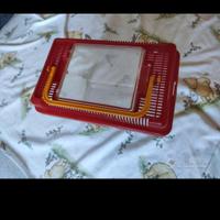 Piccolo acquario trasportabile per tartarughe