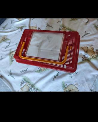 Piccolo acquario trasportabile per tartarughe