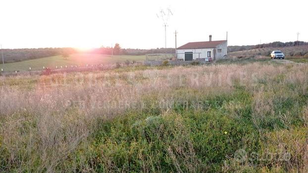 Bel terreno con casa attrezzi