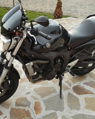 Yamaha FZ6 N 