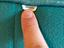 Immagine 3