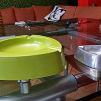 Portaceneri e umidificatore cactus ceramica