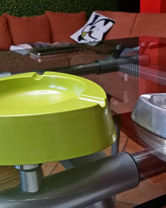 Portaceneri e umidificatore cactus ceramica