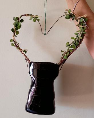 bonsai vaso riciclato 