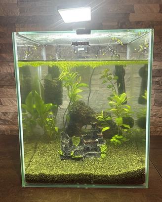 acquario