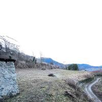 Terreno agricolo a Niardo