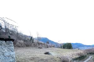 Terreno agricolo a Niardo