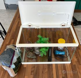 Acquario 20lt