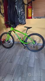 Mtb 26 Rollmar con freni a disco