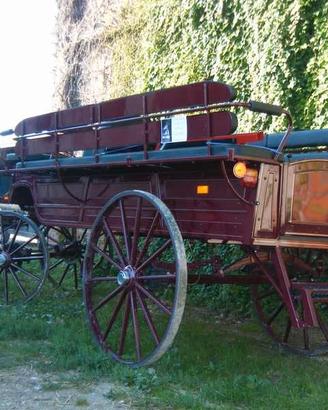 carroza wagonette