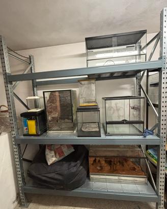 SVENDUTI TERRARI E ACQUARI