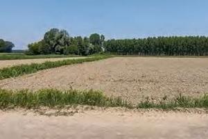 RGE 489/2022 Trib Pavia - LOTTO 4