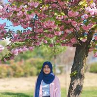 Master's Student (Electrical Engineering) - Solar