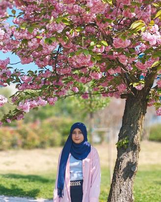 Master's Student (Electrical Engineering) - Solar