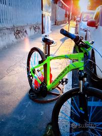 whellie bike st 100