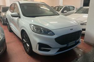 Ford Kuga 1.5 EcoBlue 120 CV aut. 2WD ST-Line X 20